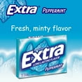 Extra Mint SugarFree Chewing Gum Polar Ice, Spearmint, Winter and