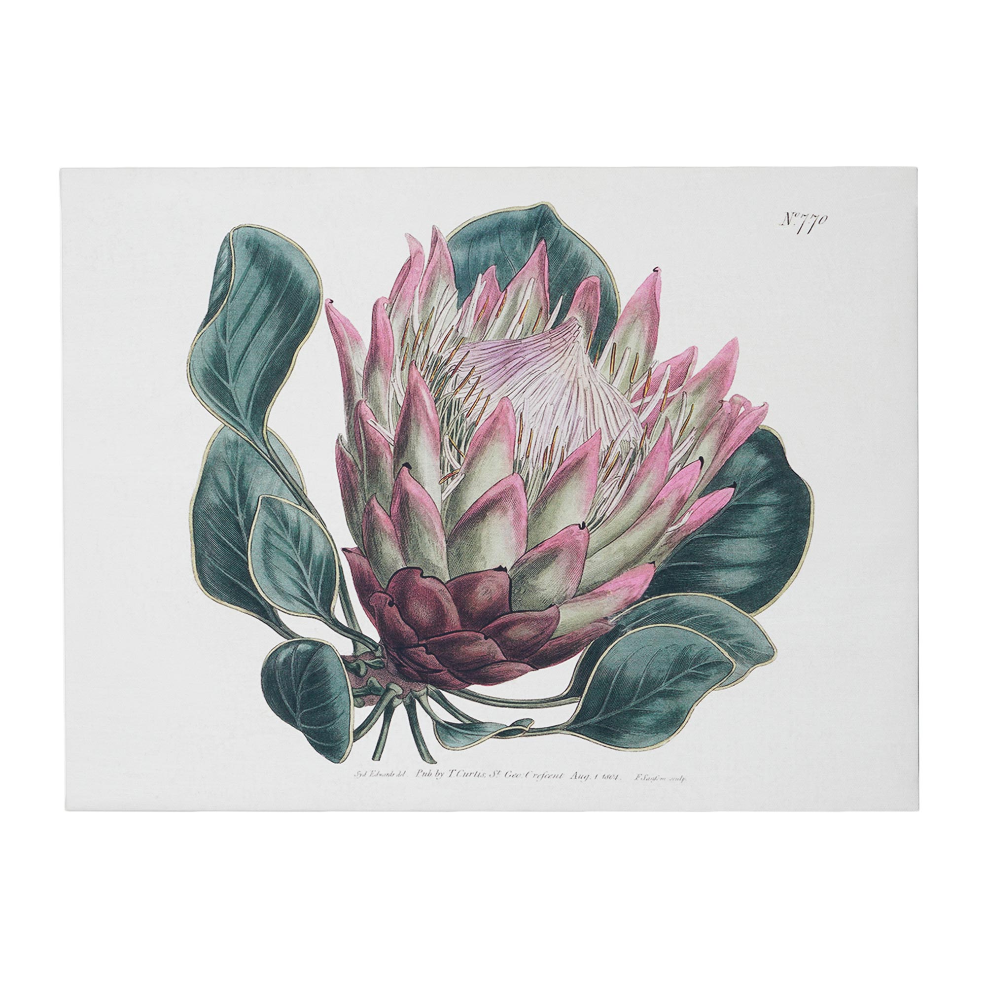 American Art Decor Dragon Leaf Flower Floral Botanical Canvas Wall Art Painting Print for Living Room, Bedroom, Kitchen, Home Office, Dining & Guest Room - 12"x16"