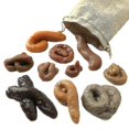 thumbnail image 1 of 10pcs/bag Fake Poop Feces Pranks Toys Halloween April Fools Day Party Trick Toy, 1 of 4
