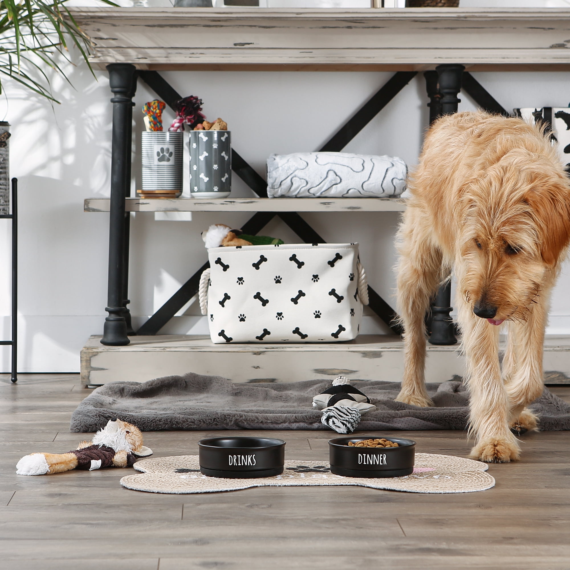 Bone Dry Ceramic Pet Bowl Set 2 Piece Dinner, Drinks & Dessert, Black, Medium