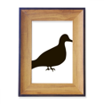 thumbnail image 1 of Pigeon animal negro descripción Marco de imagen marco de escritorio, 1 of 4