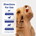 thumbnail image 4 of PetLab Co. Probiotic Chews, Delicious Soft Chew Probiotics For Dogs, 30 ct., 4 of 7