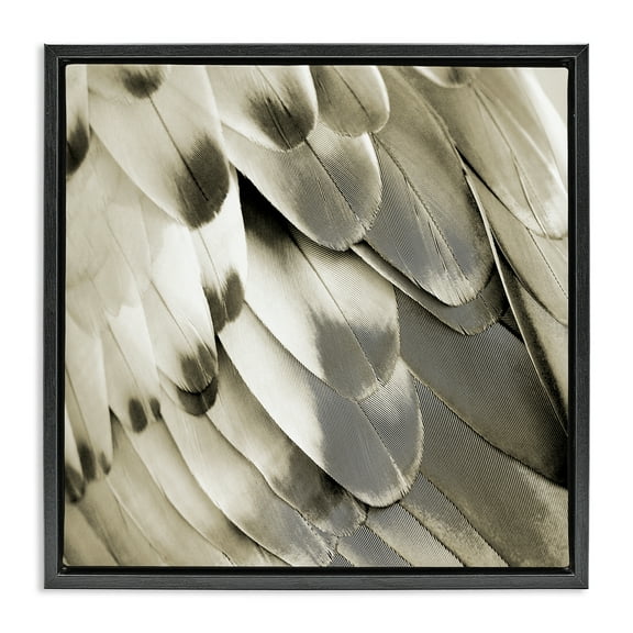 Stupell Industries Sleek Wing Feathers Animals Painting Black Floater Framed Canvas Art Print Wall Art, 18 x 18