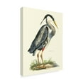 thumbnail image 2 of Trademark Fine Art 'Custom Great Blue Heron' Canvas Art by John Selby, 2 of 4