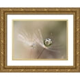 thumbnail image 1 of Kulik, Bertrand 32x24 Gold Ornate Wood Framed with Double Matting Museum Art Print Titled - Star of dandelion, 1 of 4