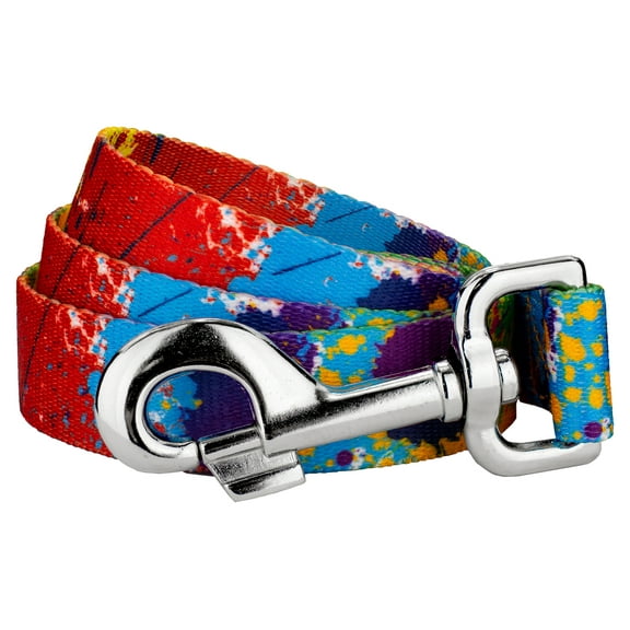 Country Brook Petz - 5/8 inch Paint Splatter Dog Leash - 6 Foot