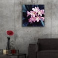 thumbnail image 5 of Epic Art 'Pink Blossom 2' by Photoinc Studio, Acrylic Glass Wall Art, 24"x24", 5 of 8