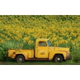 thumbnail image 2 of Grippo-Pike, Carrie Ann 14x10 Gold Ornate Wood Framed with Double Matting Museum Art Print Titled - Yellow Vintage Sunflower Truck, 2 of 4