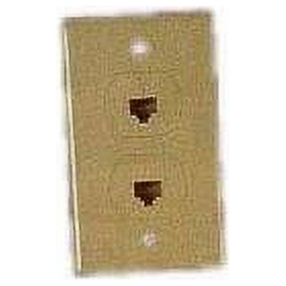 IEC RJ4508-WP2 Wall Plate with 2 RJ4508 Connectors