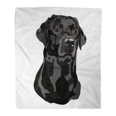 SIDONKU 58x80 inch Super Soft Throw Blanket Retriever Black Labrador Adorable Breed Canine Cute Dog Doggy Home Decorative Flannel Velvet Plush Blanket