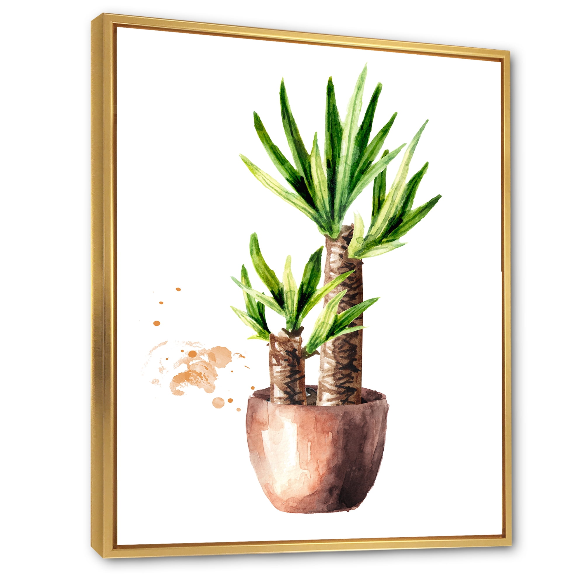 Designart 'Yucca Tree In The Ceramic Flower Pot On White' Traditional Framed Canvas Wall Art Print