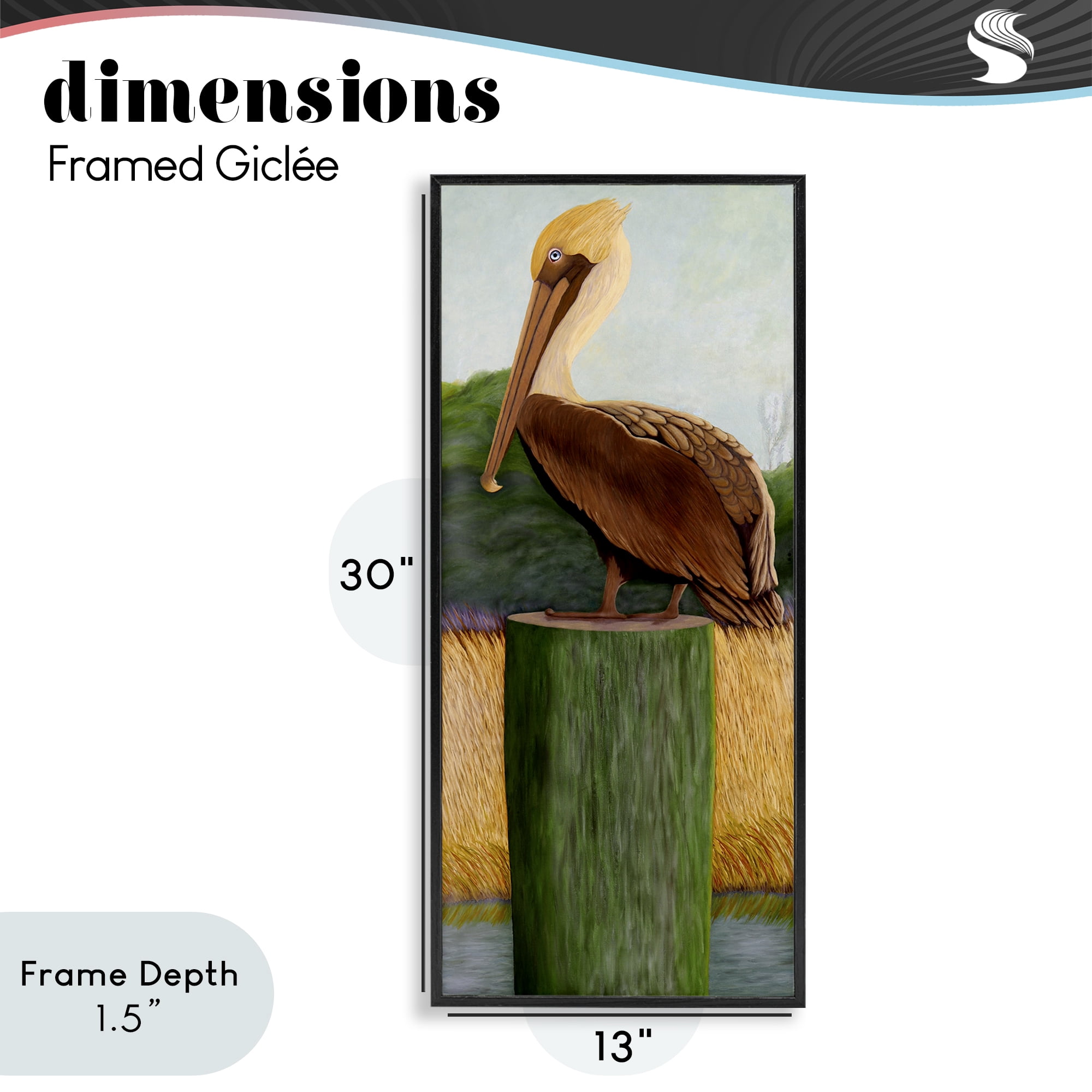 Stupell Industries Blue Eyed Pelican Black Framed Giclee Art, design by Barbara Fallenbaum