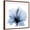 Brown Frame, variant on Art.com Indigo Hibiscus Art Print by Albert Koetsier, 16" x 16"