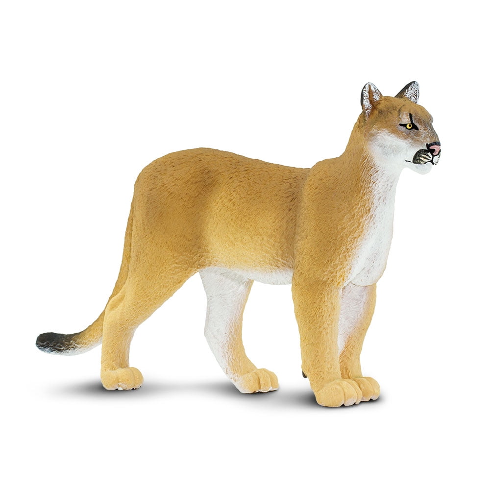 Quality Construction from Phthalate Lead and BPA Free Materials XL for Ages 3 and Up 100105 Florida Panther Wildlife Wonders Realistic Hand Painted Toy Figurine Model Safari Ltd