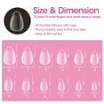 thumbnail image 6 of Gellen Short Almond Fake Nail Tips for Press on Nails, 504Pcs Soft Gel Tips for Nail Extensions Full Cover Pre-shaped 12 Sizes Clear False Nails for Nail Art, 6 of 9