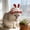 🔥 Watermelon Red, variant on Viflosae Cat Hat Dog Hats for Small Dogs Easter Bunny Ear Pet Knit Hat for Easter Photos Handmade Soft Yarn Puppy Pussy Holiday Hat Adjustable Cute Pet Accessories for Small Medium Pet