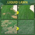 thumbnail image 4 of Liquid Lawn | Green Grass Spray | Grass Paint Max Strength, Green Grass Lawn Spray & Dog Spot Repair, Green Lawn Spray, Lawn Spray Paint, Green Dye Fo, 4 of 5