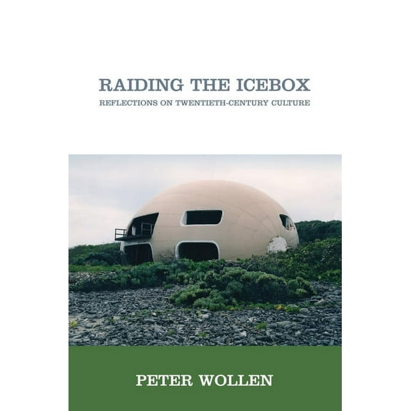 Raiding the Icebox : Reflections on Twentieth-Century Culture (Paperback)