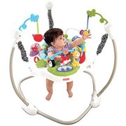 Fisher-Price Discover 'n Grow Jumperoo with Bonus $20 Gift Card