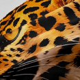 thumbnail image 4 of Manfei Animal Leopard Shower Curtain 72Wx84L,Tropical Hibiscus FlowerBathroom Shower Curtain, 4 of 6