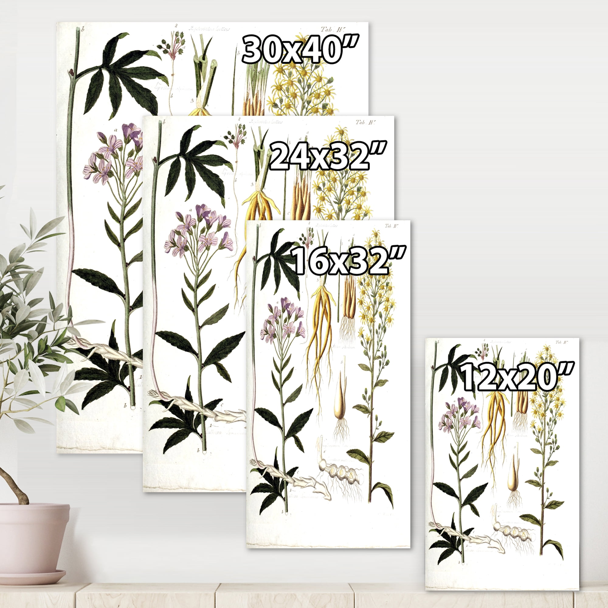 Designart ' Ancient Plant Life VIII ' Farmhouse Canvas Wall Art Print
