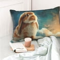 thumbnail image 4 of KLL Starry Sky Cloud Cute Rabbit Pillow Covers Envelope Closure,Super Soft and Cozy Fuzzy Fleece Pillow Case Cover (No pillow core） 16"x24", 4 of 5