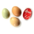 thumbnail image 6 of Norpro Egg Rite Timer, 6 of 6