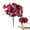 Red, variant on Artificial Peony Flowers 1 Bundles Peony Fake Flowers Faux Silk Peonies with Hydrangea Flower Bouquets for Wedding Home Party Decor Floral Arrangements Table Centerpieces, Cameo Brown, 11.42"