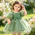 thumbnail image 6 of FYDUU Baby Girl Clothes Toddler Girls Tulle Princess Dresses Puff Sleeve Floral Embroidered Birthday Party Gown Flower Girl Dresses 12-18 Months, 6 of 6