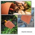 thumbnail image 4 of piezas de escondite para reptiles, plataforma para tomar el sol para tortugas, terraza para tortugas, refugio para reptiles, 4 of 8