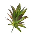 thumbnail image 1 of Inteprter de elegancia con suculentas artificiales ecológicas Planta artificial realista no tóxica Decoración MM215 Otoño, 1 of 6