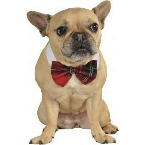 Christmas Pet Bowtie - Red - Medium