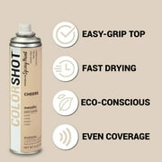 COLORSHOT Metallic Spray Paint, Cheers (Champagne) 9 oz, Fast-Drying Acrylic Paint, Indoor & Outdoor Use