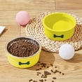 thumbnail image 6 of Dog Bowls Cat Bowls Pet Bowls Slow Feeder Anti Choke Spill Proof Non Slip Plastic Dog Food Bowl Cat Food Bowl for Small Large Dogs Cats Indoor by PALIFEUR, 6 of 7