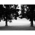 thumbnail image 2 of Bydlo, Gary 32x25 White Modern Wood Framed Museum Art Print Titled - Fog in the Park II, 2 of 4