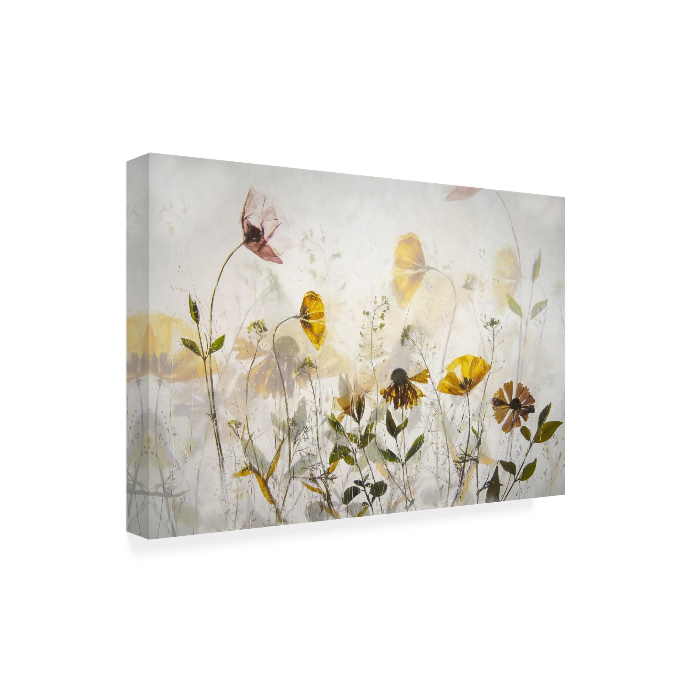 Canvas Wall Art - Nel Talen 'Flower Party' Wall Art for Living Room, Bedroom, or Office Décor by Trademark Fine Art - 47 x 30 Inches