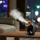 thumbnail image 4 of Herunwer USB Shaking Head Humidifier, Portable Personal Mini Cool Mist Diffuser for Home, Office, and Car, 4 of 9