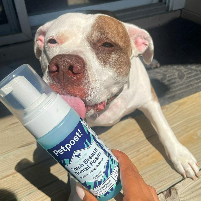 Dental foam for dogs hot sale