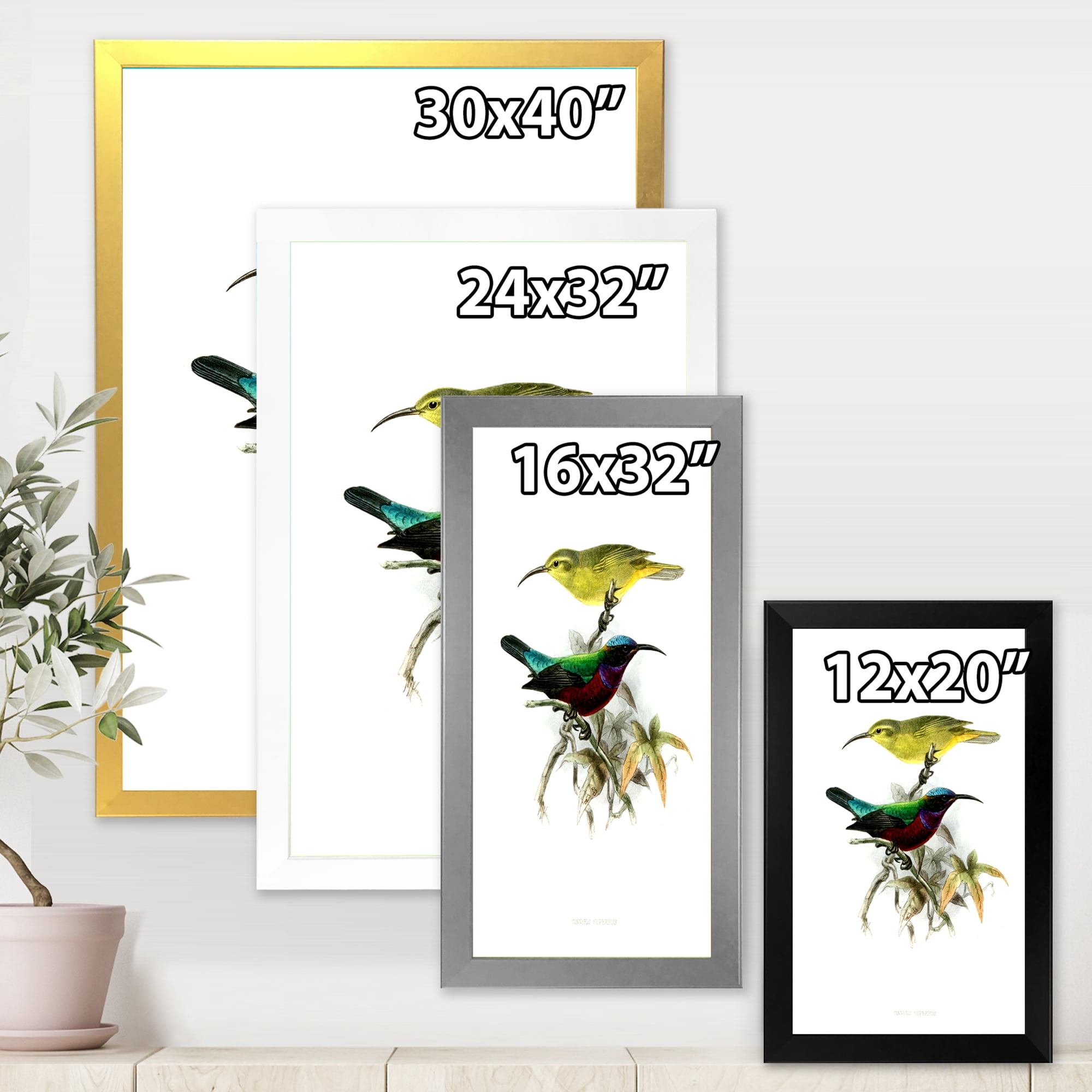 Designart 'Ancient Australian Birds XV' Traditional Framed Art Print