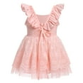 thumbnail image 2 of IBTOM CASTLE Infant Baby Girls Boho Lace Tutu Dress Flutter Sleeve Smocked Casual Birthday Party Summer Holiday Photo Shoot Sundress 12-18 Months Pink, 2 of 8