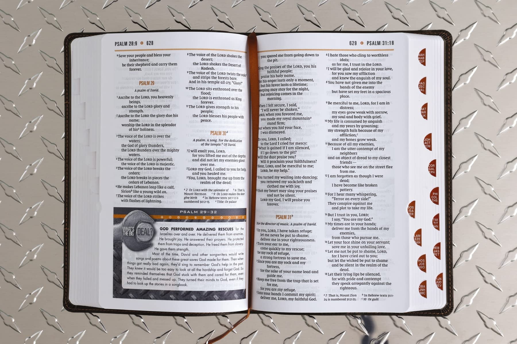 Niv, Boys' Bible, Leathersoft, Brown Camo, Thumb Indexed Tabs, Comfort Print, (Hardcover)