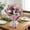 B, variant on Artificial Small Rose Bouquet, Exquisite Pre-Wrapped Fake Rose Flowers, Lightweight Simulation Rose for Gifting Home Decor