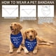 thumbnail image 4 of 1 Bandana triangular ajustable para perros de algodón azul oscuro sin blanquear con temática "Gran Hermano" promocionada a Bandanas para mascotas de Gran Hermano, 4 of 9