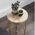 thumbnail image 7 of Kate and Laurel Abella Round Wood Indoor Plant Stand, 10 x 10 x 24, Natural Rustic, Chic Cocktail Table for Display and Storage, 7 of 7