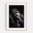 thumbnail image 2 of Gorilla - Photography Wildlife Black and White Animal Portrait Nature Moody Unframed Wall Art Print 32 x 48 inches, 2 of 60