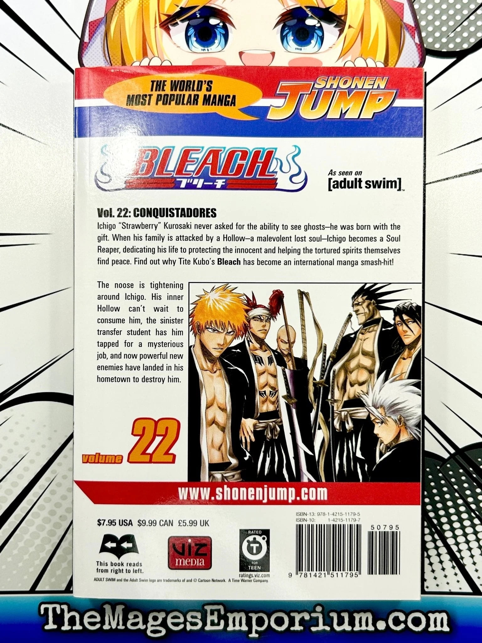 Bleach Bleach, Vol. 22: Conquistadores, Book 22, (Paperback