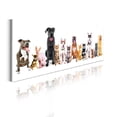 thumbnail image 1 of Animal Acrylic Glass Wall Art, Funny Pets Picture of Cats and Dogs Sitting Down on Plain Background Print, Panoramic Decor Living Room Bedroom & Dorms, 47" x 16", White and Multicolor, by Ambesonne, 1 of 1