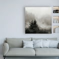 thumbnail image 3 of Trademark Fine Art 'Rising Mist, Smoky Mountains' Canvas Art by Nicholas Bel, 3 of 3