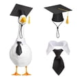 thumbnail image 1 of Graduation Outdoor Goose Decorations Set Waterproof Yard Sculpture for Festive Lawn Display, 1 of 9
