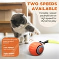 thumbnail image 3 of Interactive Cat Toy for Indoor Cats, Two Speed Smart Automatic Cat Toy Moving Ball with Tail, 2 Pack Rechargeable Motion Activated Cat Toys for Bored Indoor Adult Cats (Adapter Not Included), 3 of 6